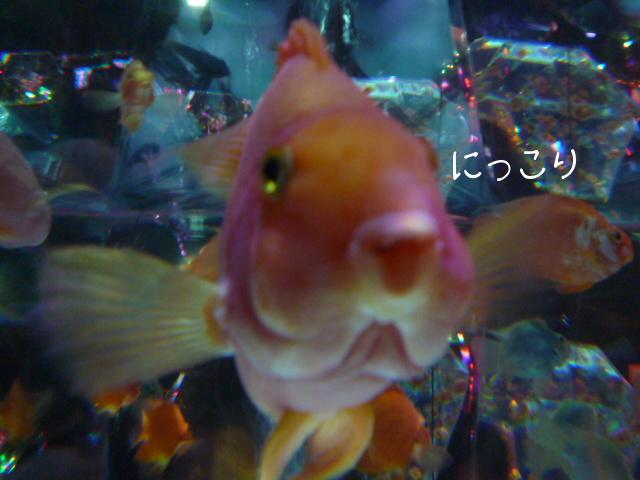 P1060872.JPG
