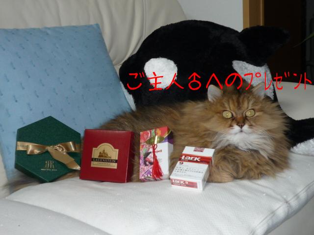 やらせ？