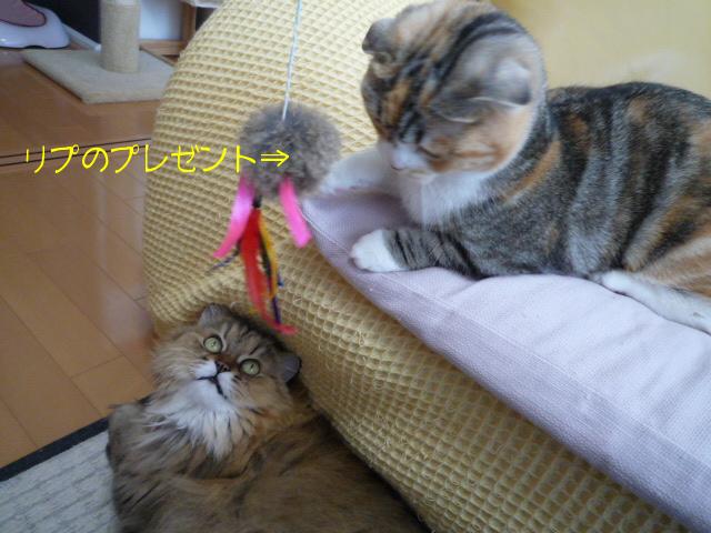 P1100035.JPG