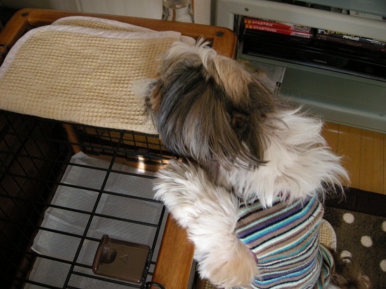 DSCN3761.jpg