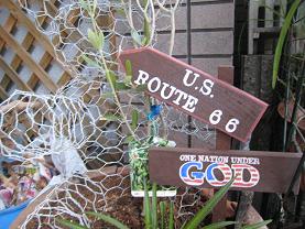 IMG_1342.JPG