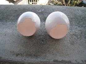 タマゴの殻
