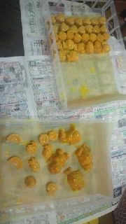 ちゃんと できてたよ！