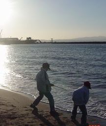 春の海