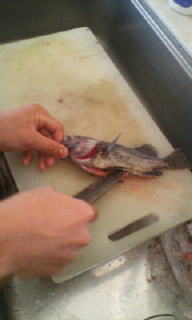 20111029090531.jpg