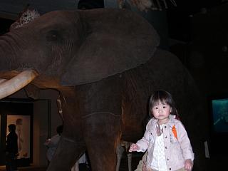 CIMG0194.JPG