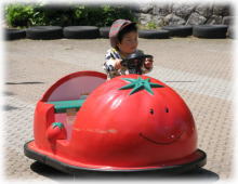 らトマトカー.jpg