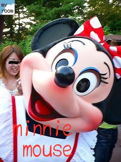 TDR 518.jpg