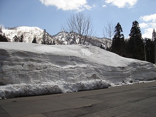 060325神立雪