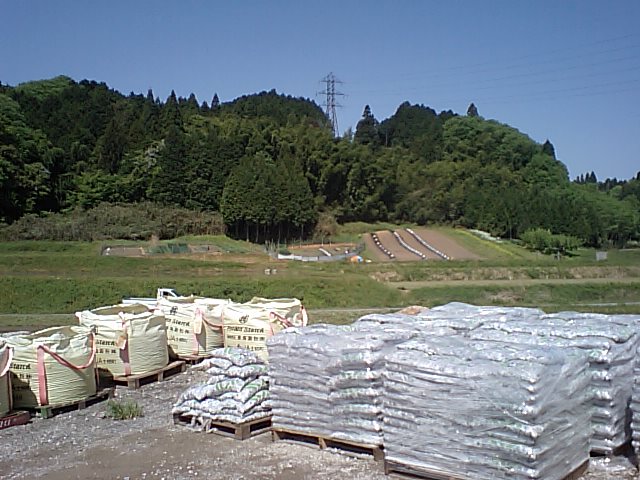 2008-05-06 22:43:53