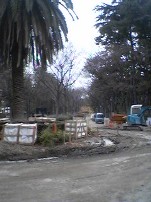 060309_1559~04.jpg