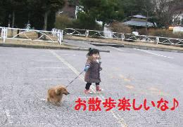 メル散歩
