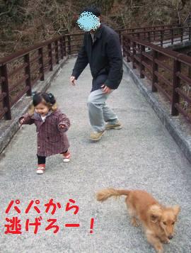 橋にて