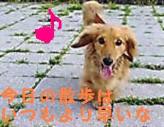 ルンルン♪