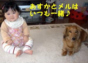 仲良しかな～
