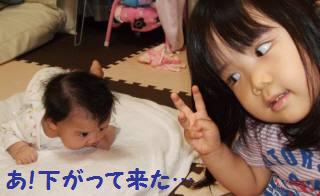 姉ちゃんと