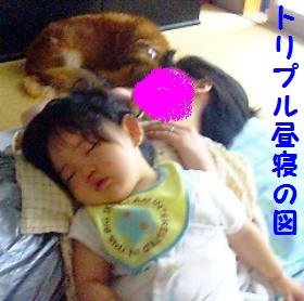 仲良く寝んね♪