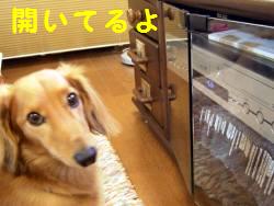 そうだね。。。