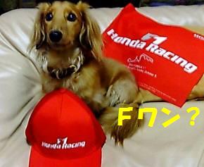 Ｆ１