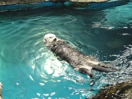 アドベンチャー１５