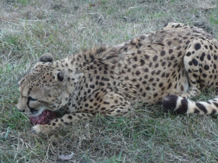 アドベンチャー２０