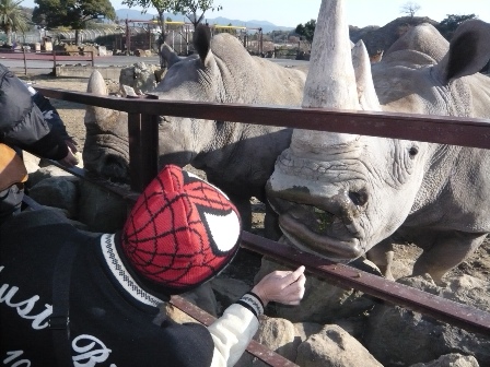 アドベンチャー２４