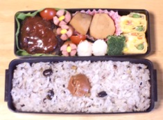 お弁当.JPG