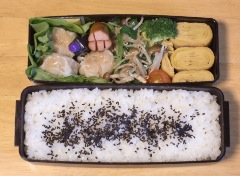 ダーのお弁当.JPG