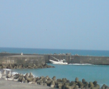 漁港が見える海