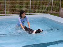 swim