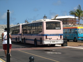 bermuda_bus