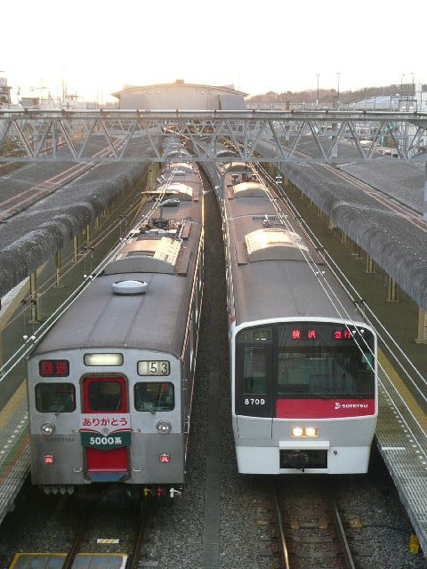 相鉄5000系と8000系