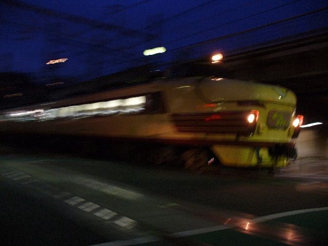 P1010666.jpg