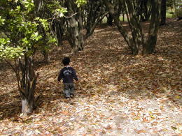 いろはちゃん　緑地公園 012 (2).jpg