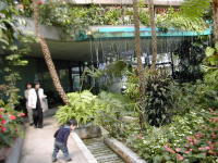 新緑の服部緑地 004 (2).jpg