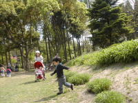 新緑の服部緑地 005 (2).jpg