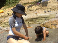 2005-08-11 12:38:17