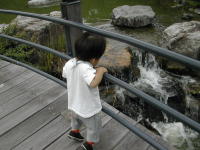 2005-06-24 00:18:45