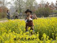 2005-04-12 11:11:39