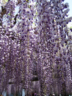 2005-04-29 12:38:35