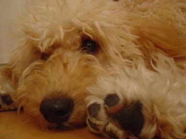 キュルルルゥ・・・