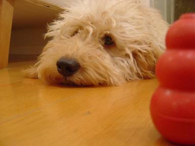 待ってます・・・