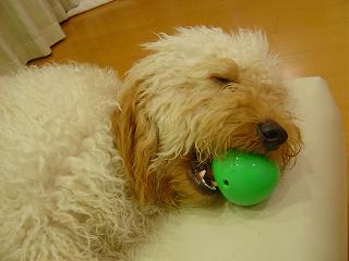 寝ちゃったのね。