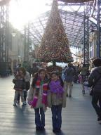 tree前でパチリ！