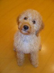 ７．１２　リビング　２