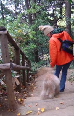 一歩一歩・・・