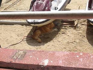 IMG_9242.JPG