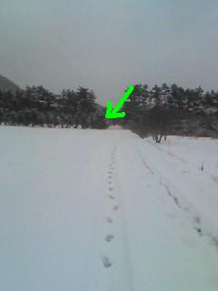 080114_1023~0001.jpg