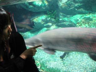 IMG_5241.JPG