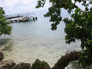 IMG_9238.JPG
